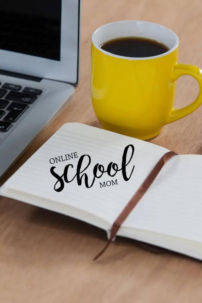 online school mom