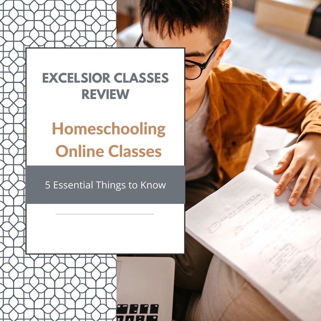 Excelsior Classes Review